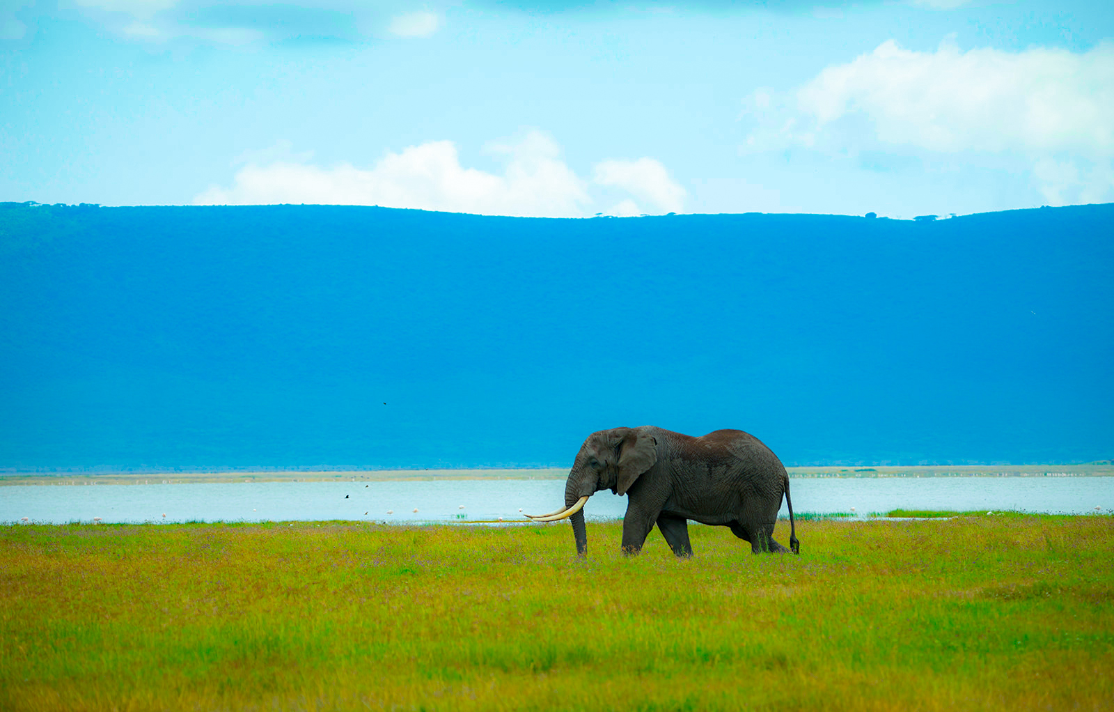 Ngorongoro Crater